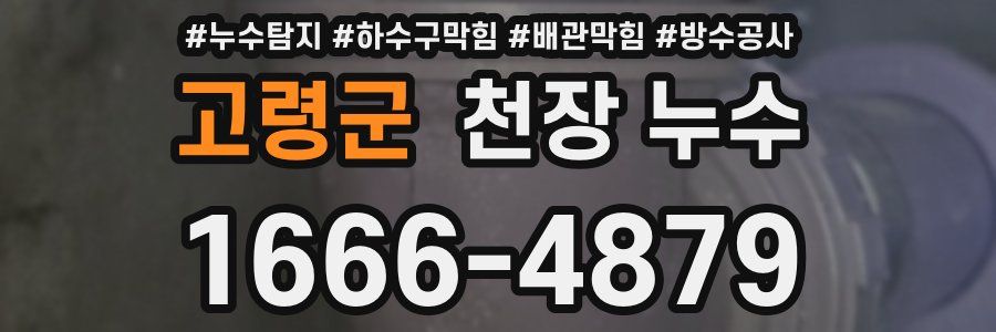 고령군 천장 누수