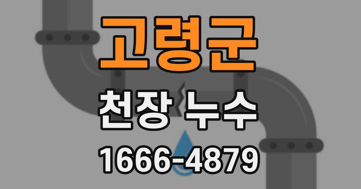 고령군 천장 누수