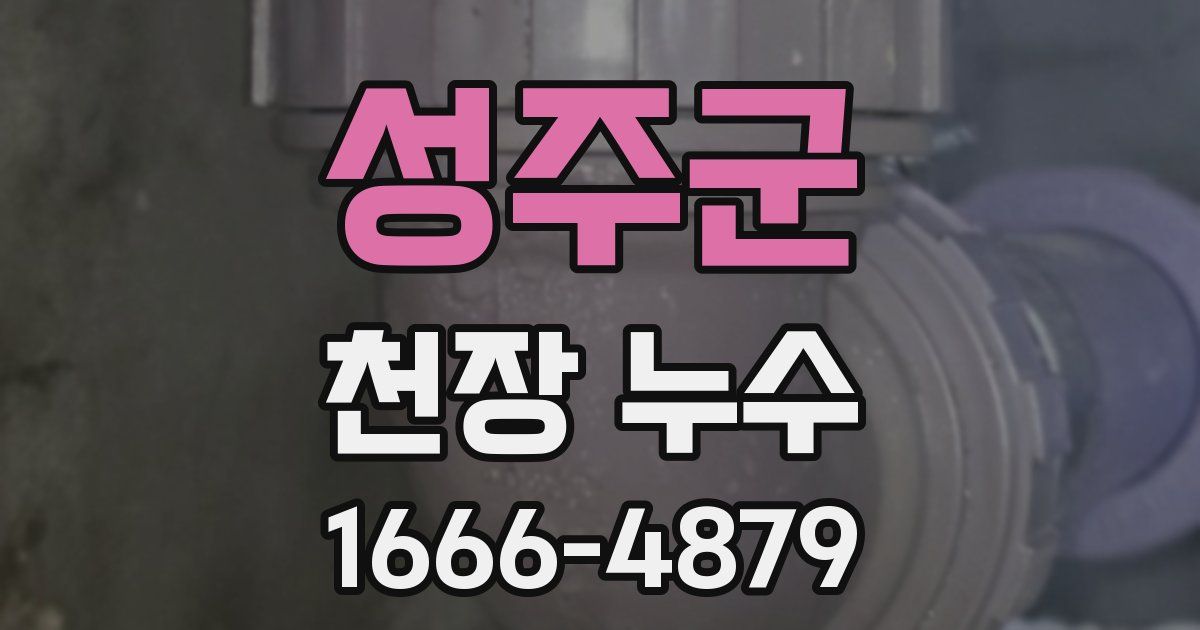 성주군 천장 누수