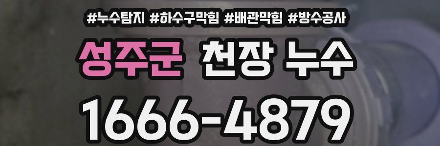 성주군 천장 누수