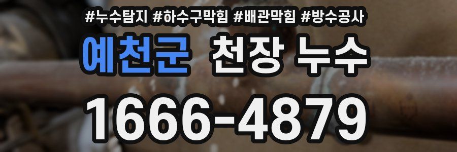 예천군 천장 누수