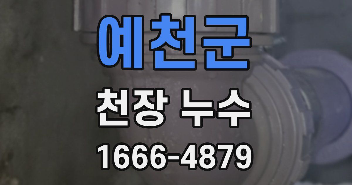 예천군 천장 누수