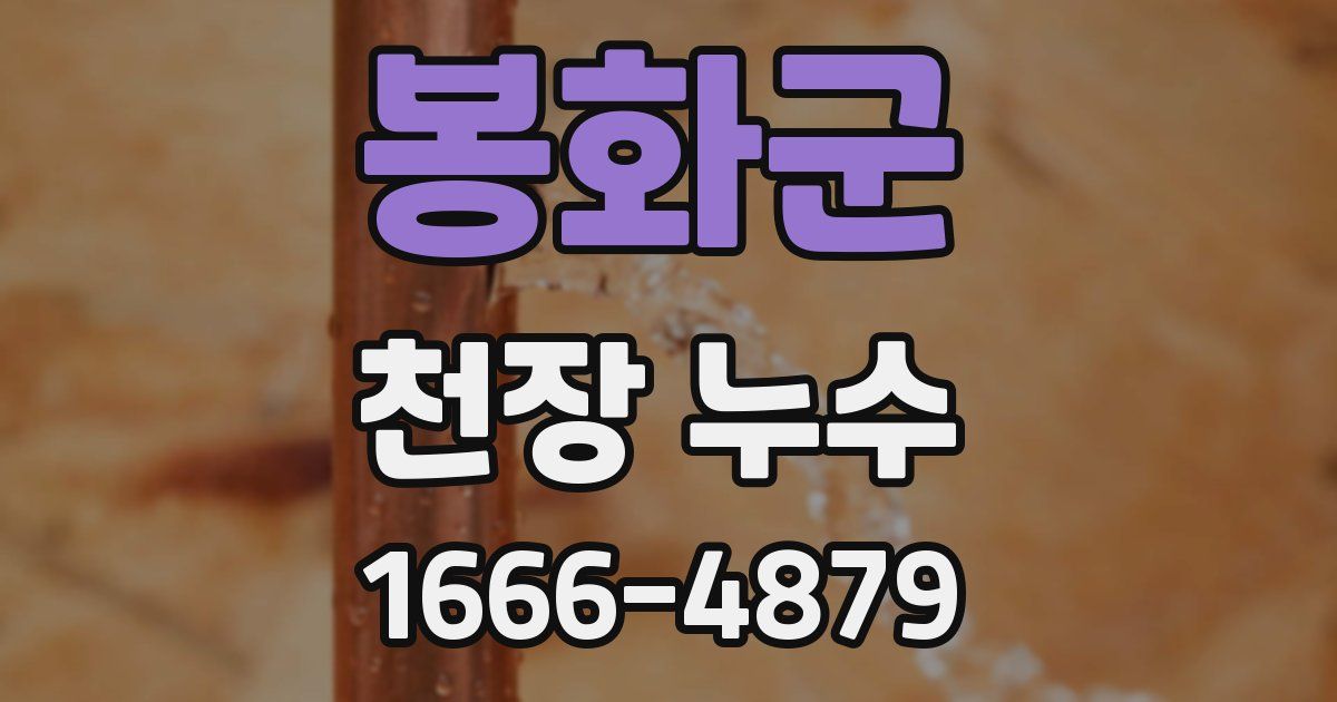 봉화군 천장 누수
