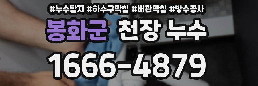 봉화군 천장 누수