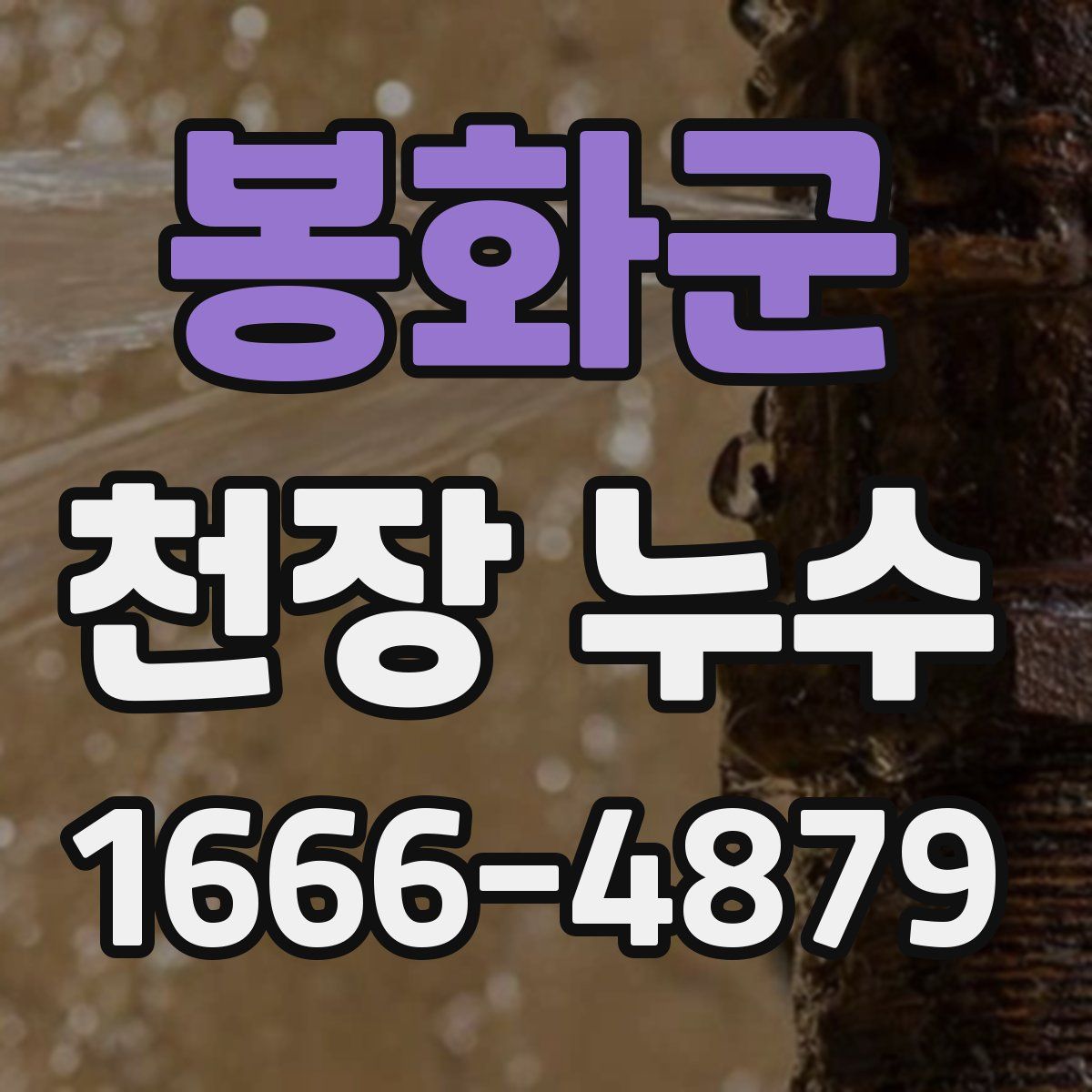 봉화군 천장 누수