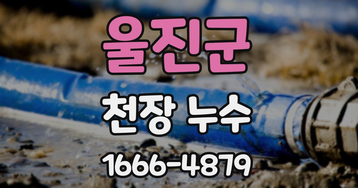 울진군 천장 누수