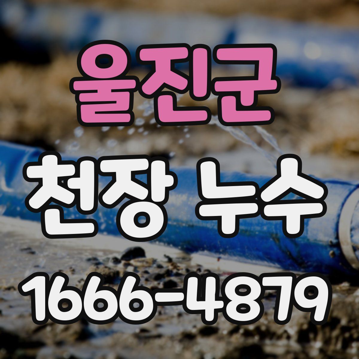 울진군 천장 누수