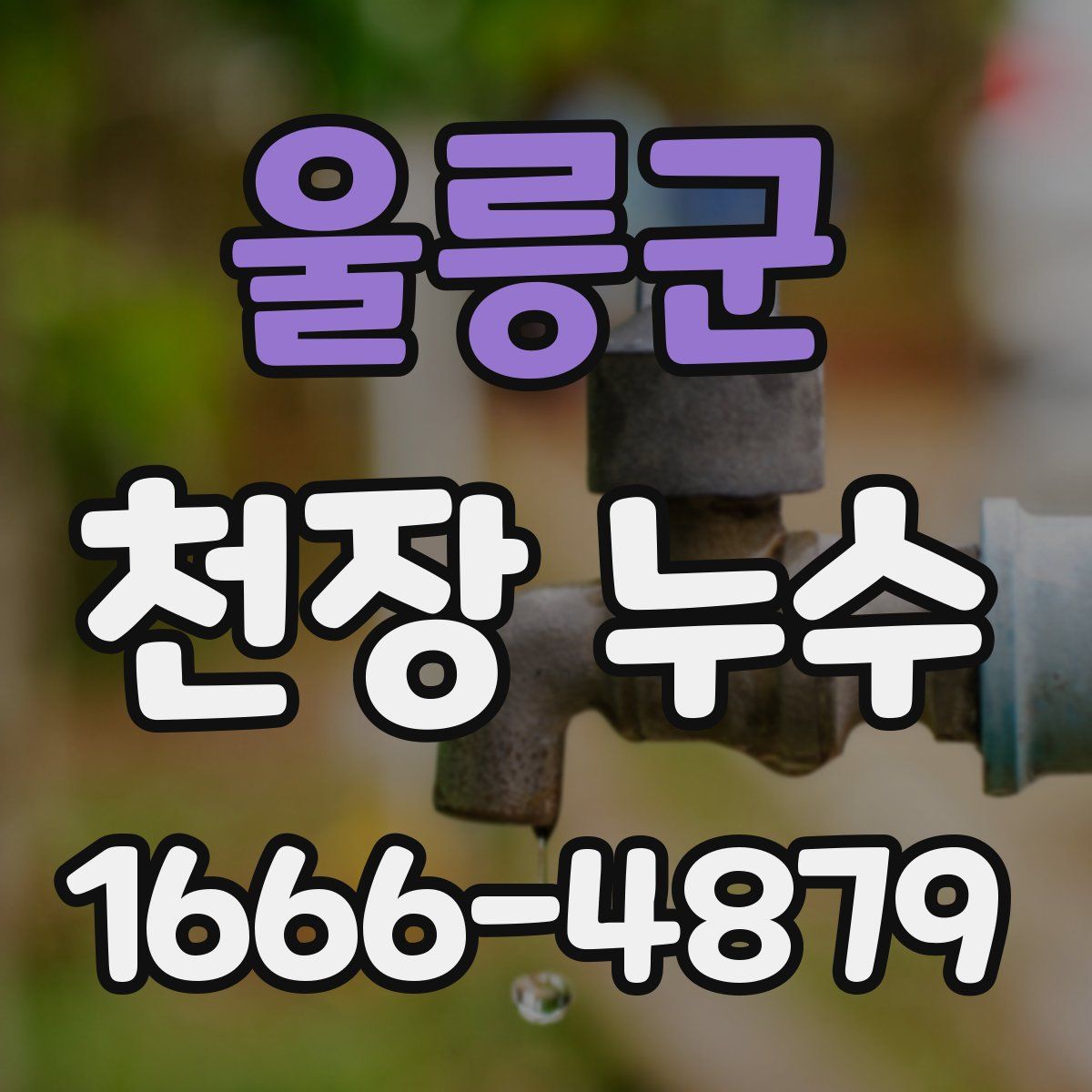 울릉군 천장 누수