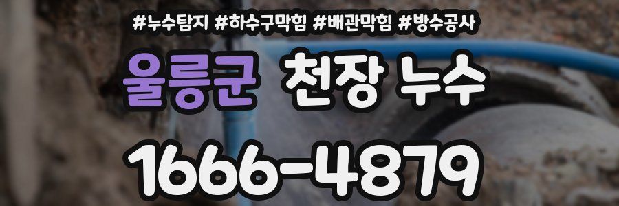 울릉군 천장 누수