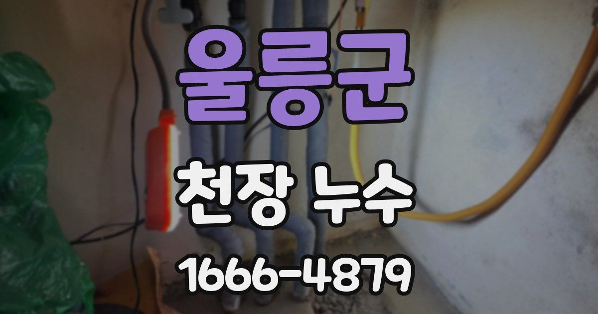 울릉군 천장 누수