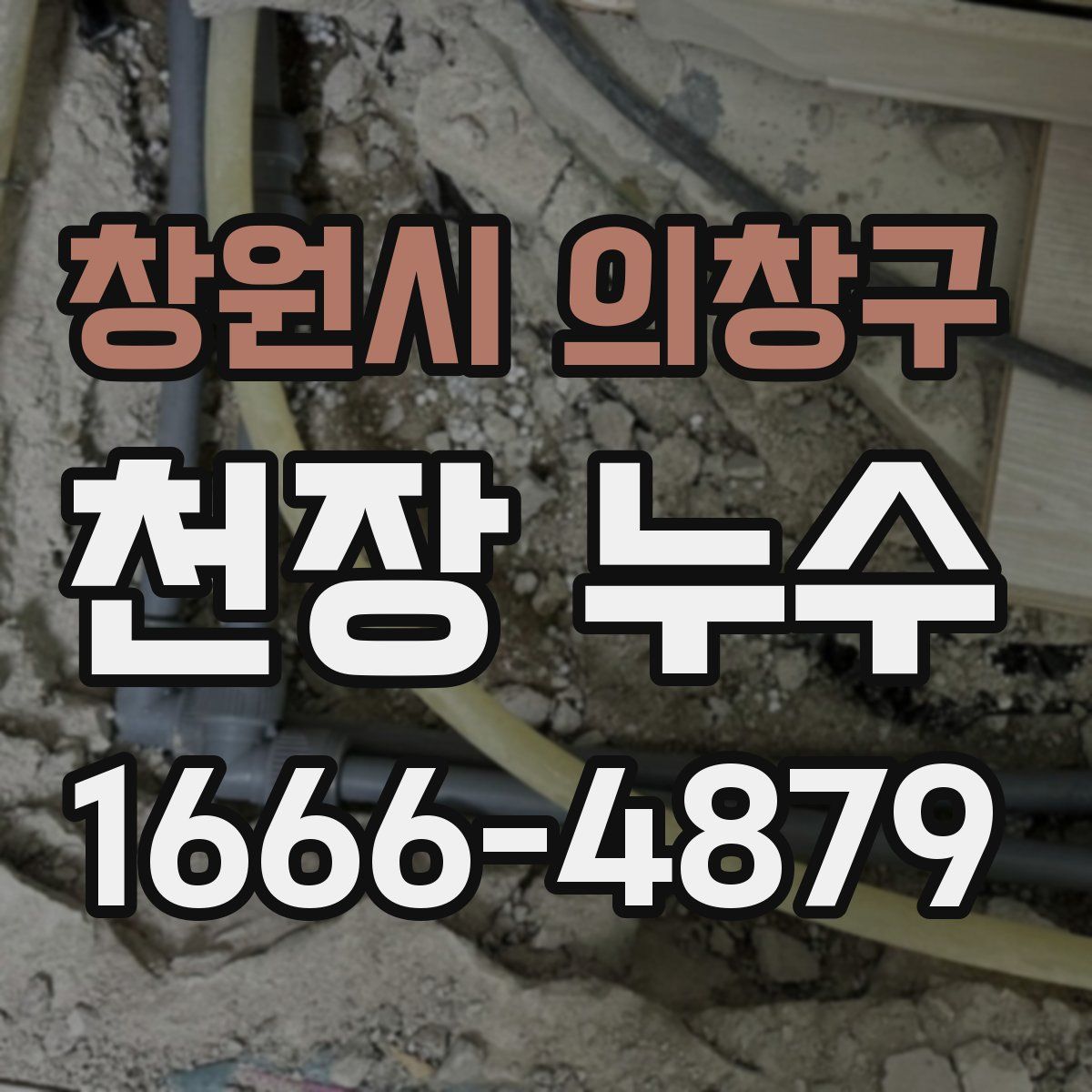 창원시 의창구 천장 누수
