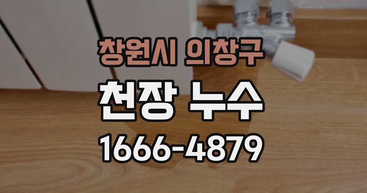 창원시 의창구 천장 누수