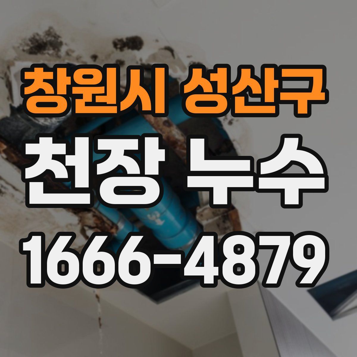 창원시 성산구 천장 누수
