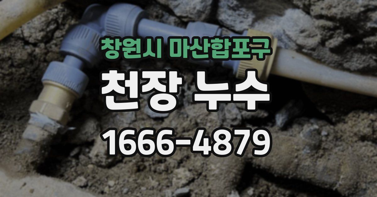 창원시 마산합포구 천장 누수