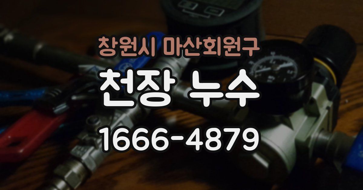 창원시 마산회원구 천장 누수