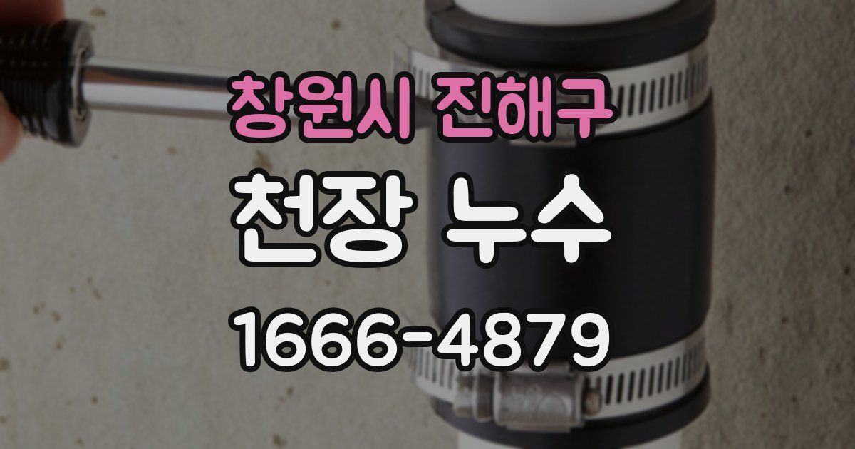 창원시 진해구 천장 누수