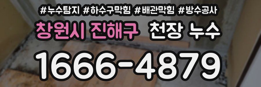 창원시 진해구 천장 누수