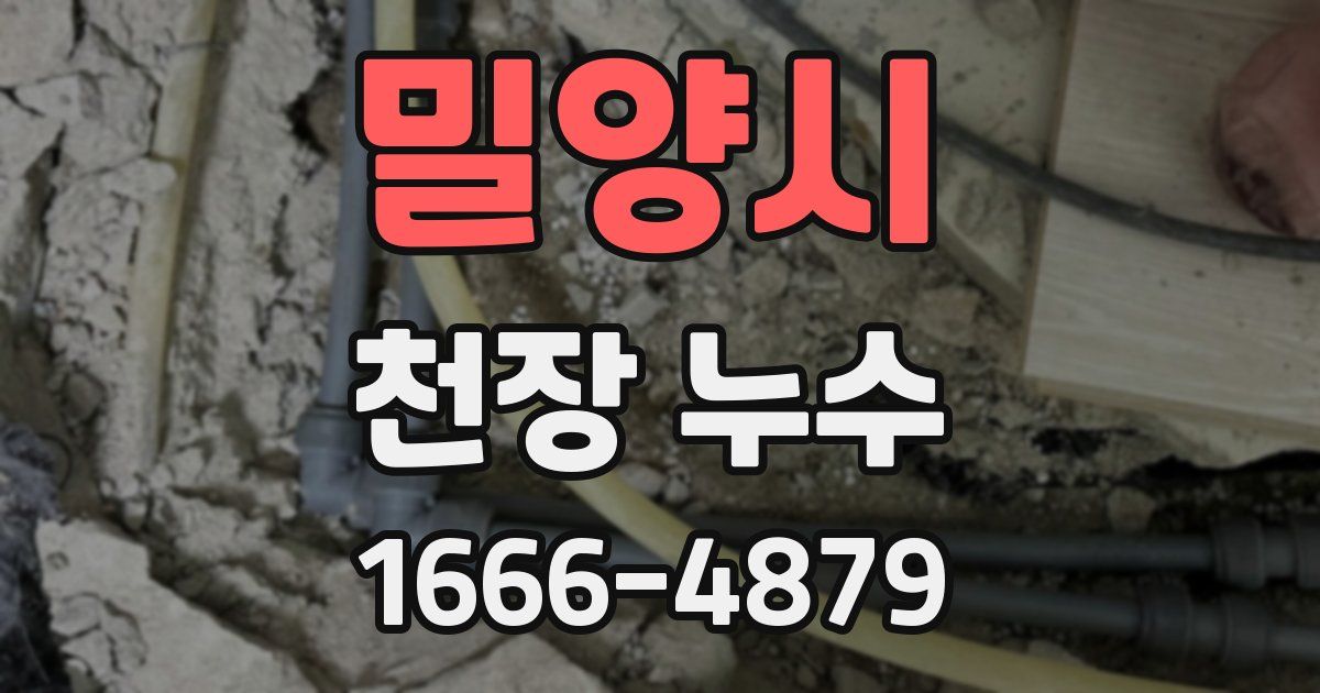 밀양시 천장 누수