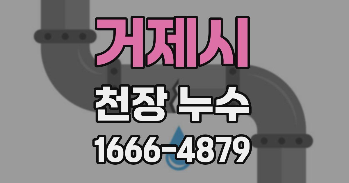 거제시 천장 누수