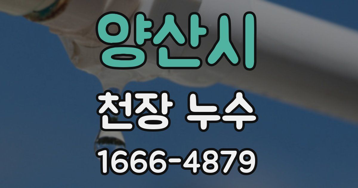 양산시 천장 누수
