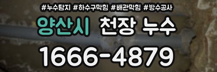 양산시 천장 누수