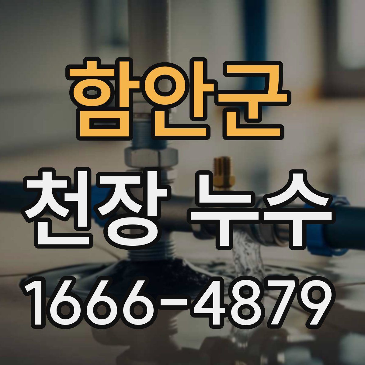 함안군 천장 누수