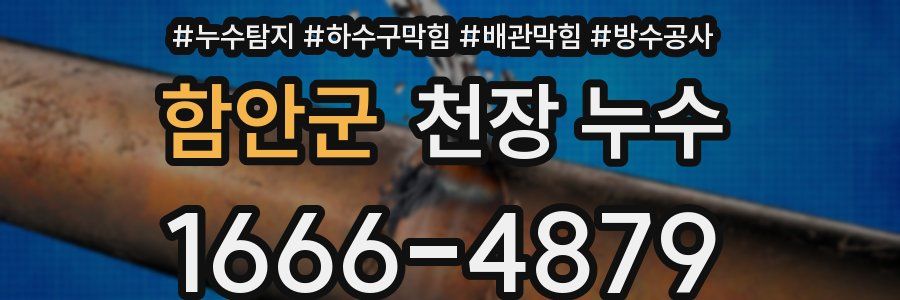 함안군 천장 누수