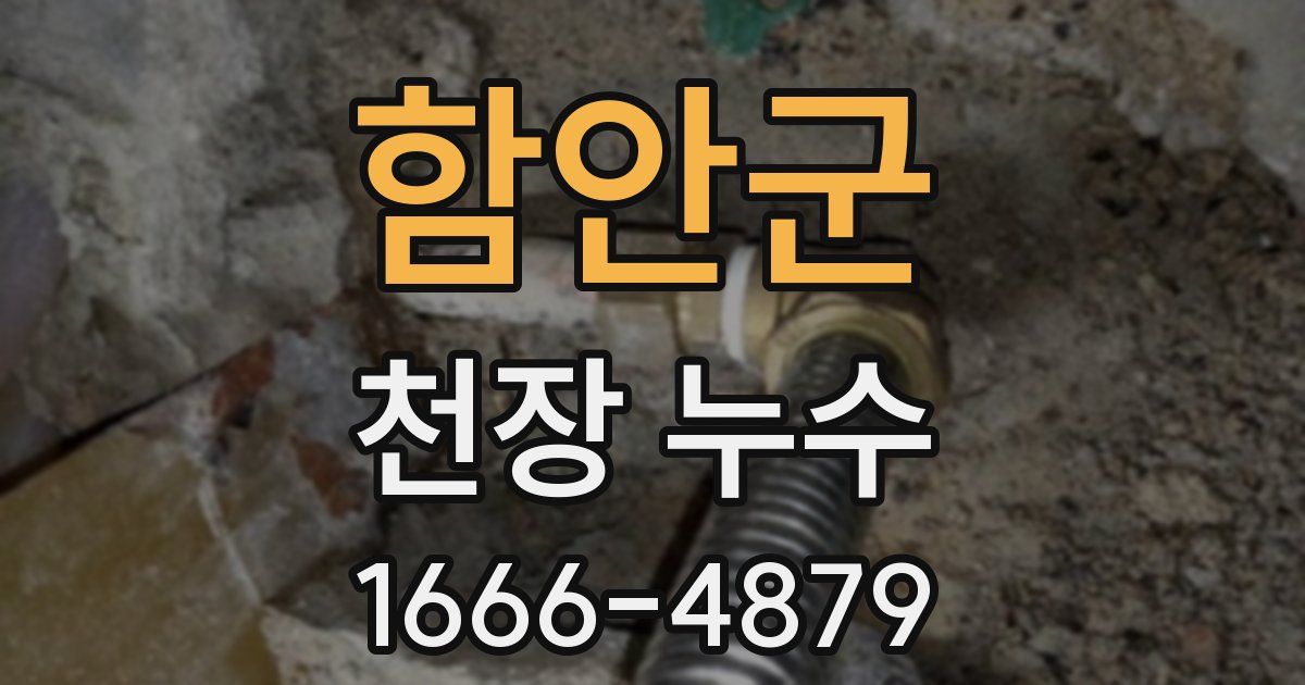 함안군 천장 누수