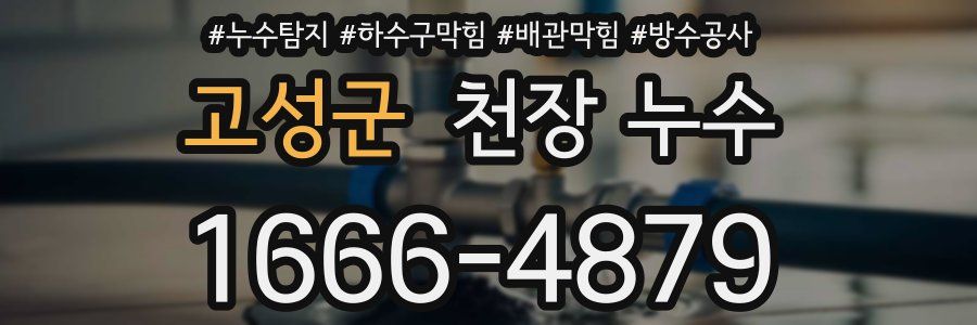 고성군 천장 누수