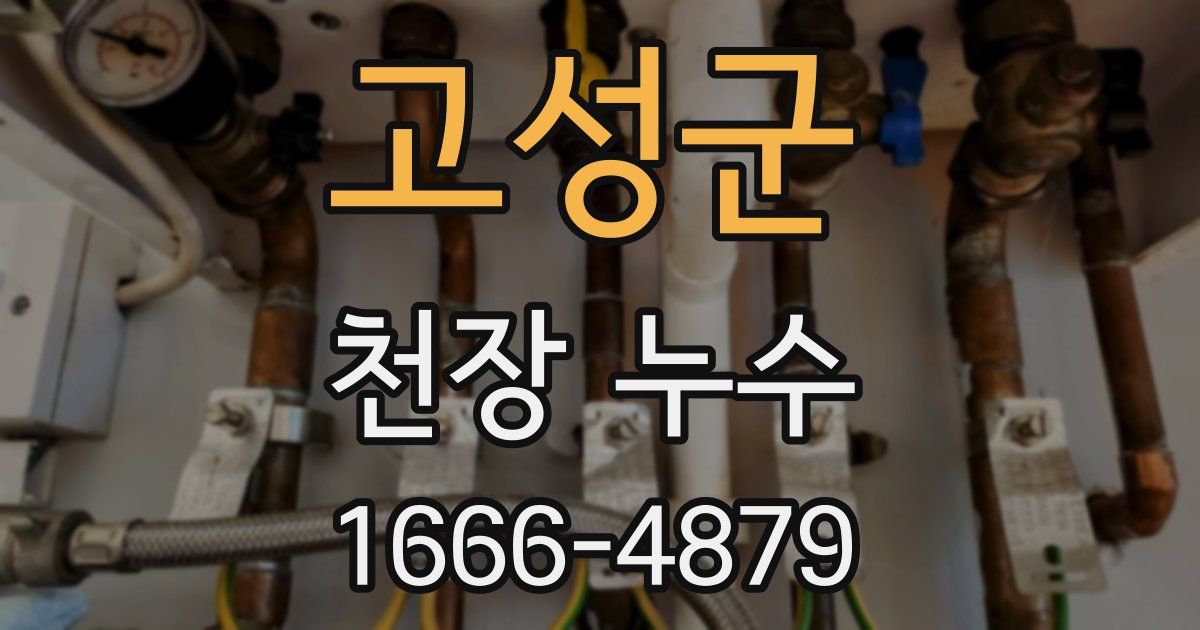 고성군 천장 누수