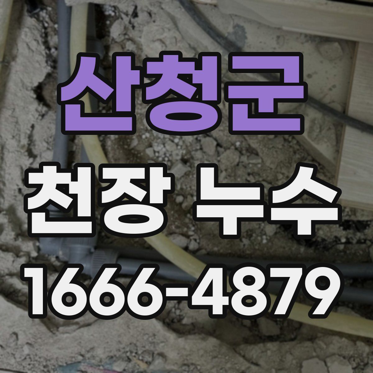 산청군 천장 누수