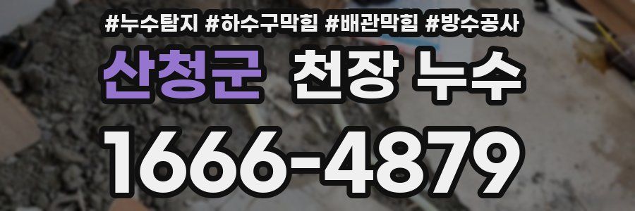 산청군 천장 누수
