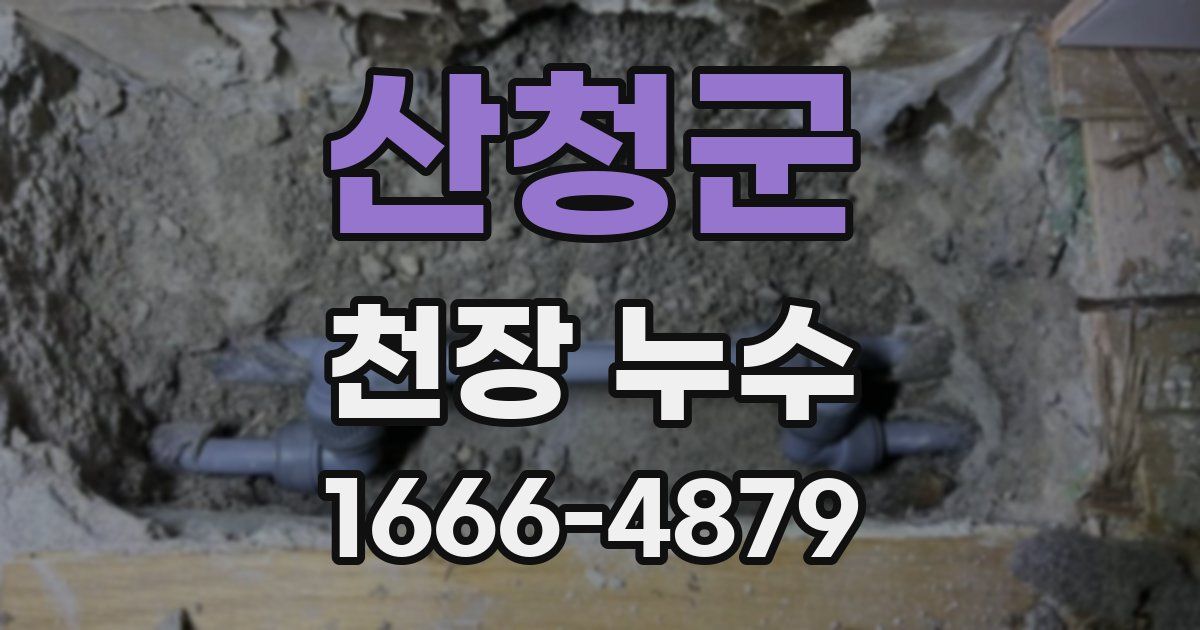 산청군 천장 누수