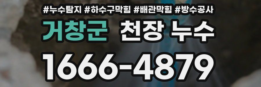 거창군 천장 누수