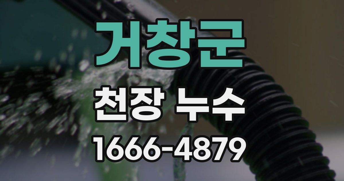 거창군 천장 누수