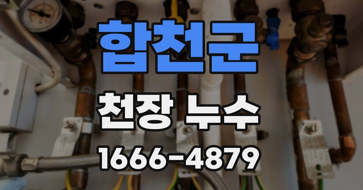 합천군 천장 누수