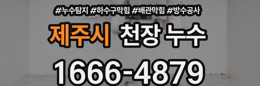 제주시 천장 누수