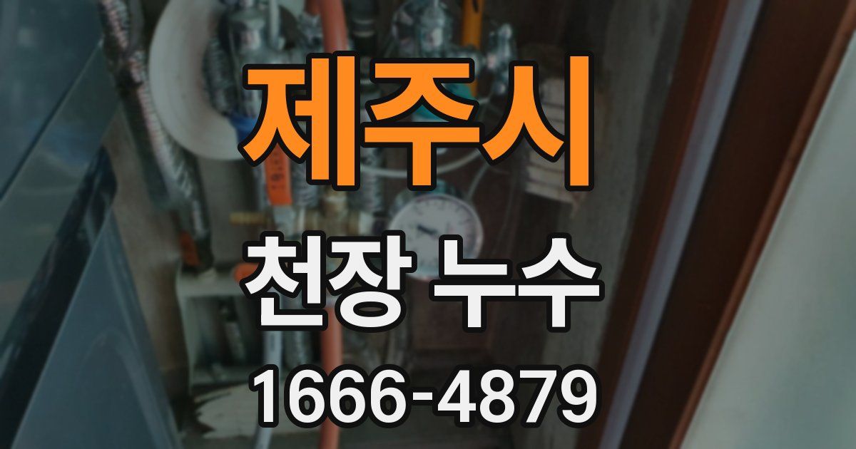 제주시 천장 누수
