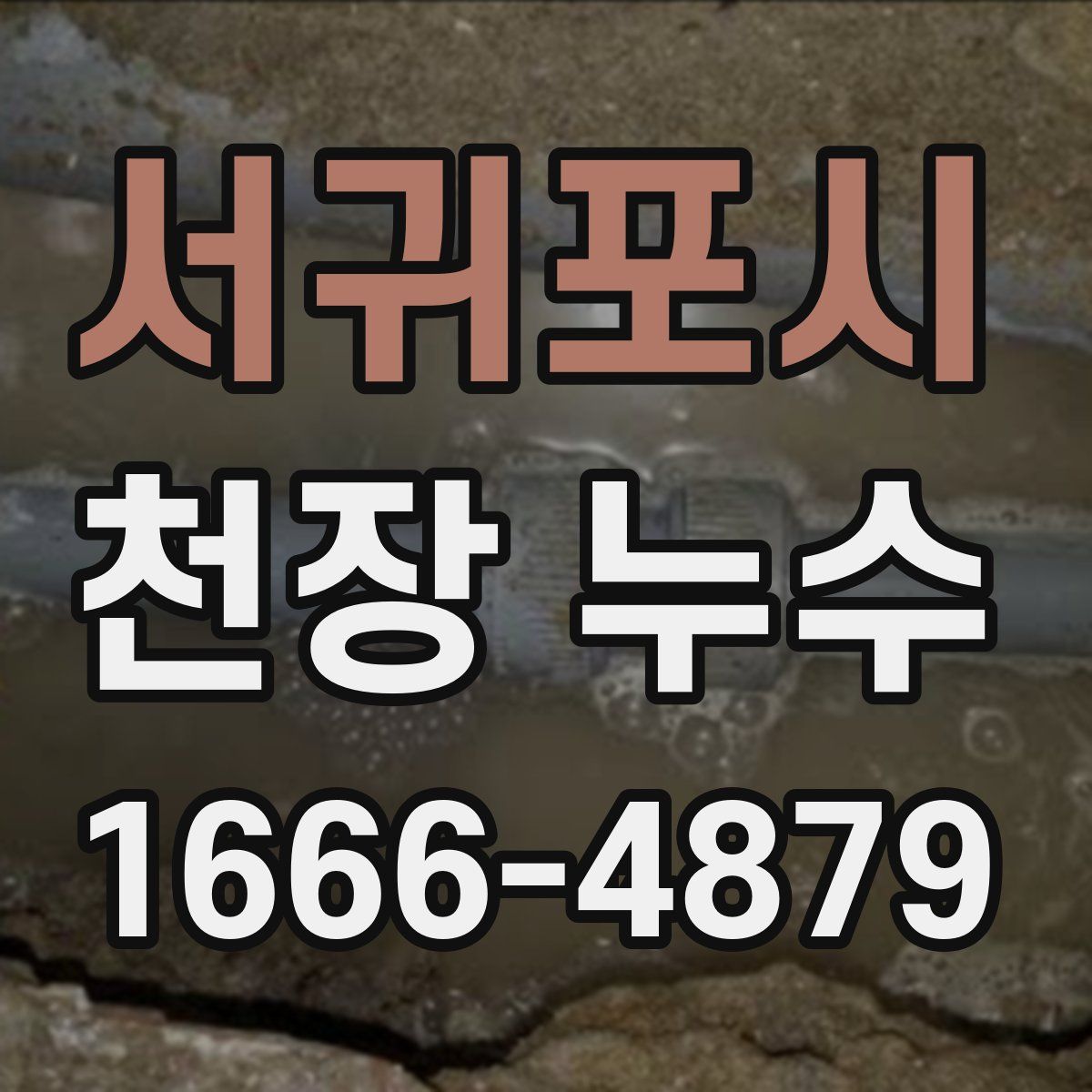서귀포시 천장 누수