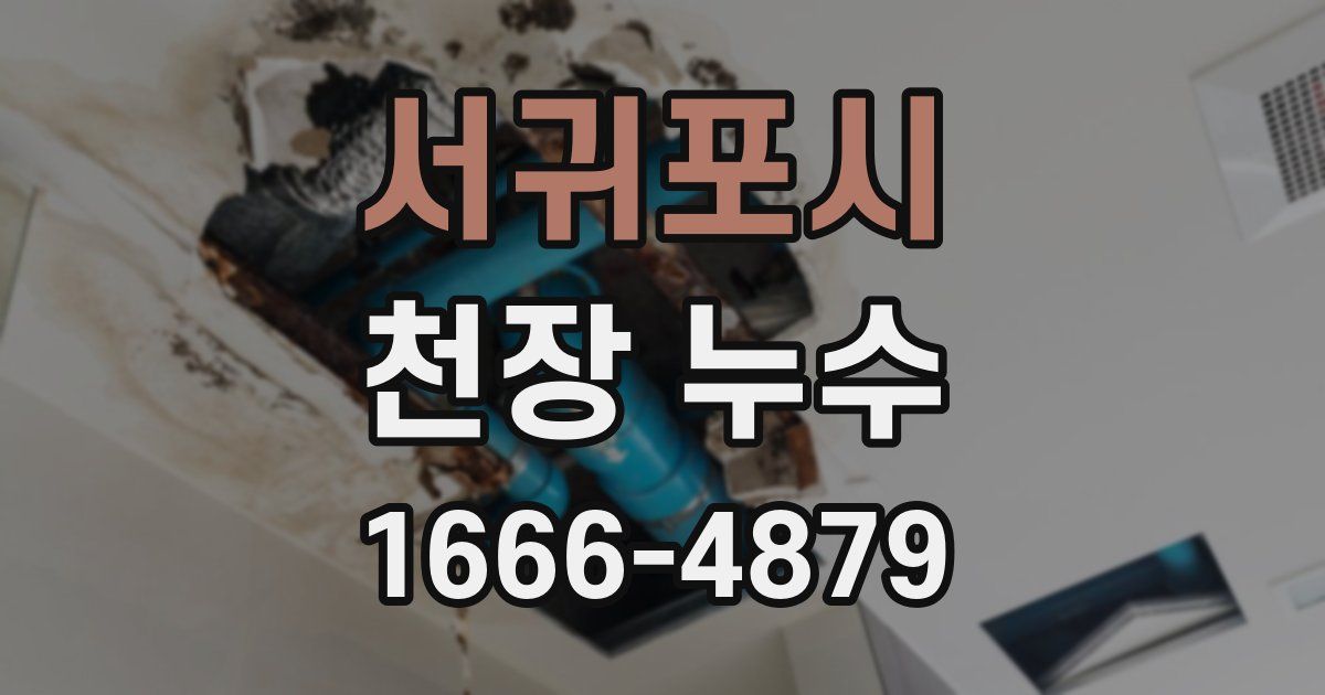 서귀포시 천장 누수