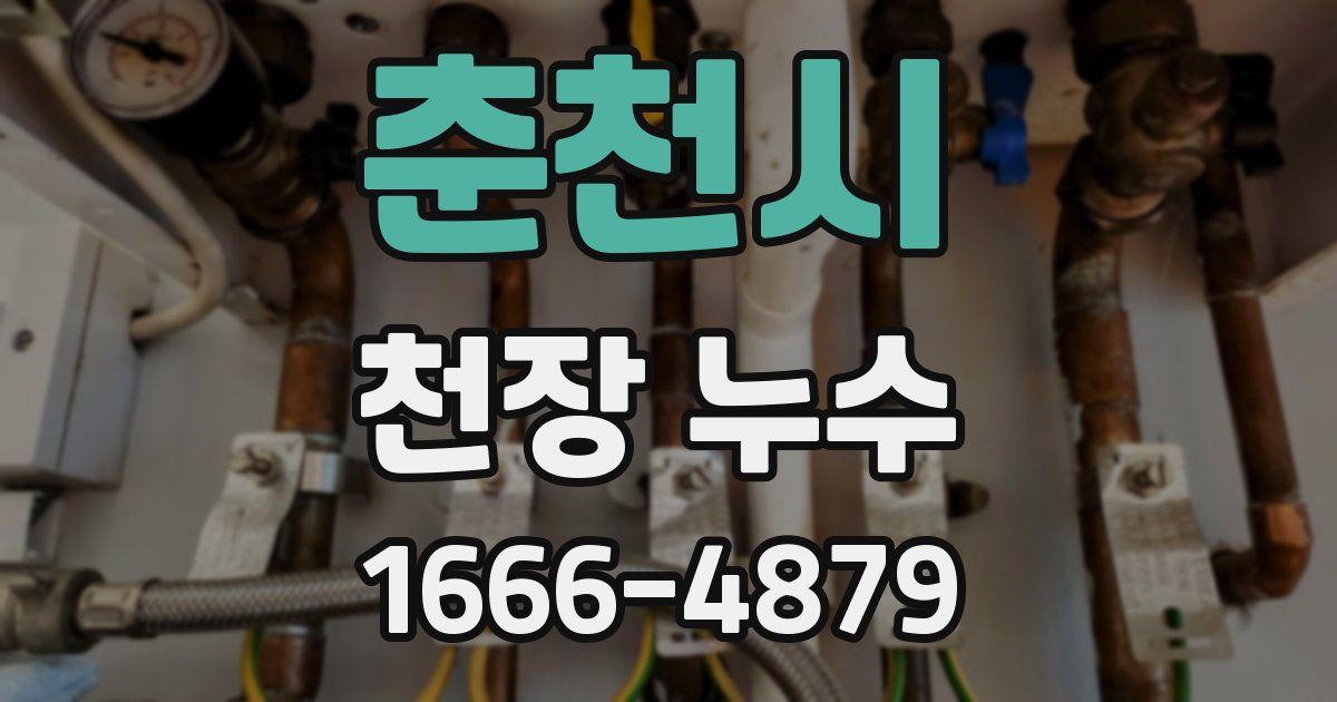춘천시 천장 누수