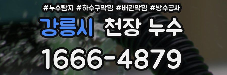 강릉시 천장 누수