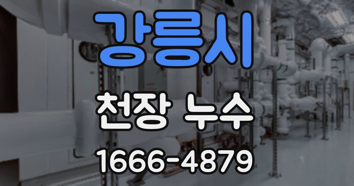 강릉시 천장 누수