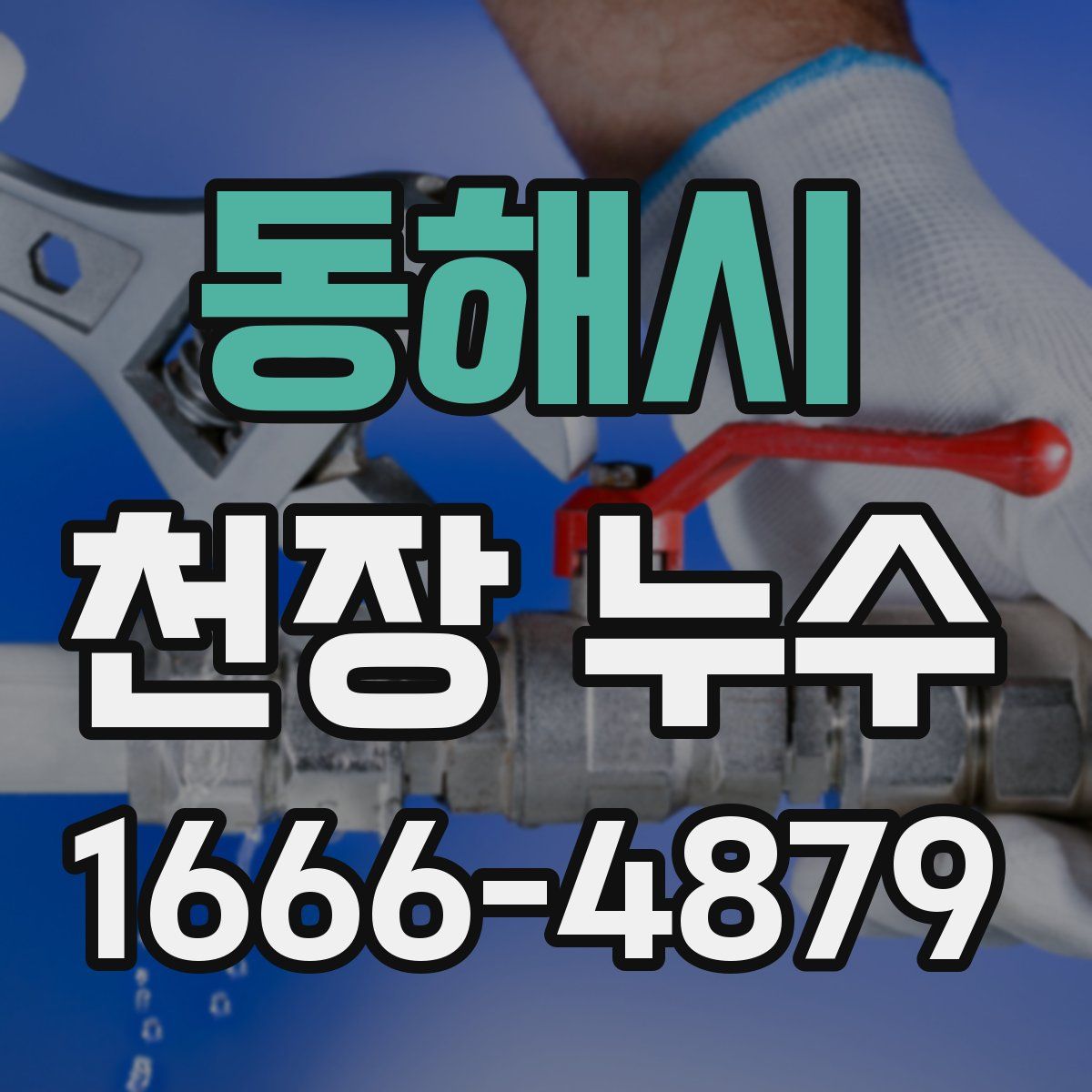 동해시 천장 누수