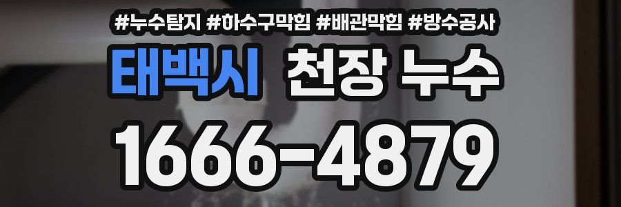 태백시 천장 누수