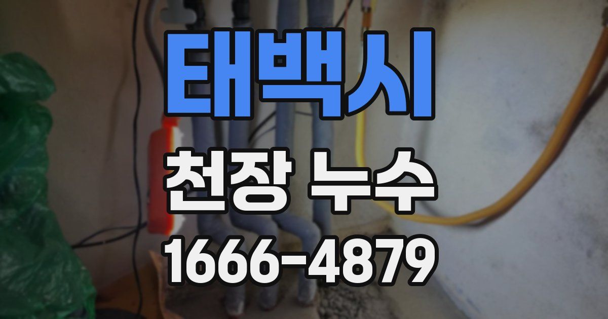 태백시 천장 누수