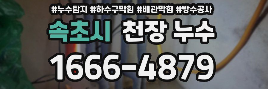 속초시 천장 누수