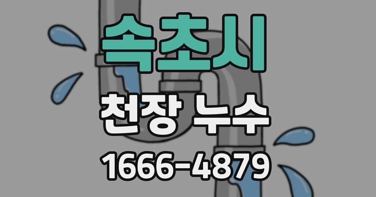 속초시 천장 누수