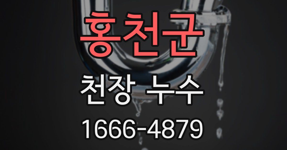 홍천군 천장 누수