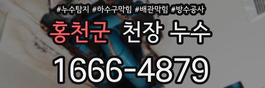 홍천군 천장 누수